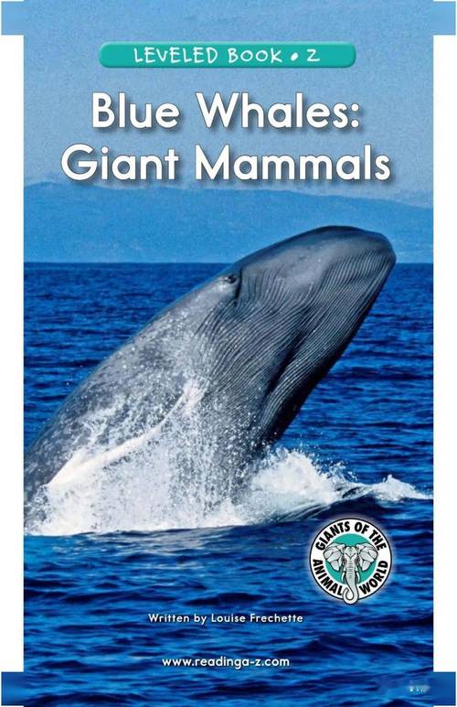 Giant Whale Sale: The Impact on Markets and Investors