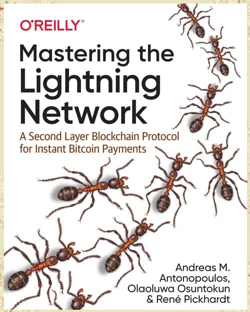 The Stiffening of Bitcoin Network