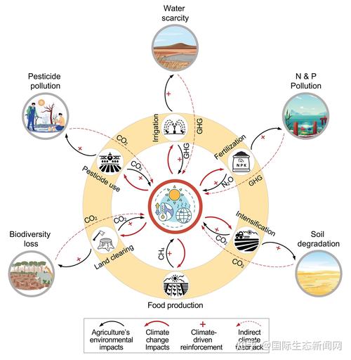 The Journey of Economic Growth: Understanding the Engines of Expansion