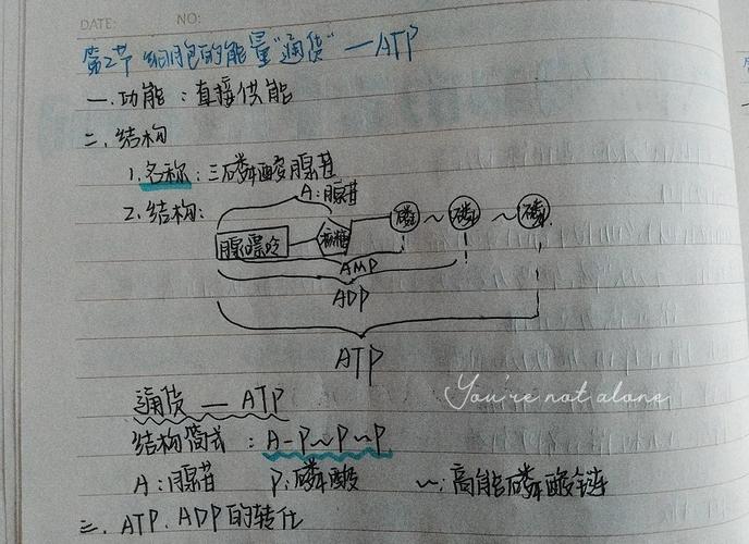 Atprome: ATP与罗马的奥秘
